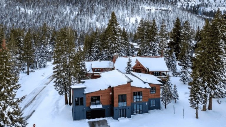 A modern wooden house covered in snow with a backdrop of evergreen trees and mountains.